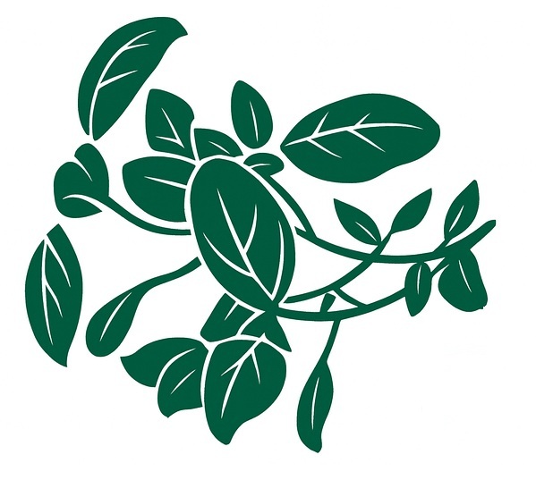 Basil Bookkeeping logo